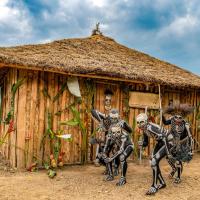 Bird of Paradise ECO Lodge，位于MintimaGoroka - GKA附近的酒店