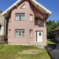 Vila Ciciou，位于内格雷什蒂瓦什的酒店