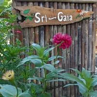 Sri Gaïa Yogyakarta，位于Imogiri的酒店