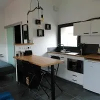 Micro Maison indépendante，位于Commelle-Vernay的酒店