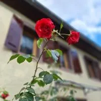 Ferienhaus Auf dem Knapp，位于Krautscheid的酒店