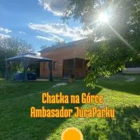 Chatka na Górce，位于Okół的酒店