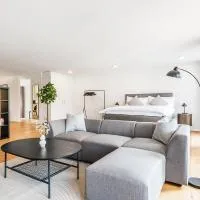 CITY-LOFT 1 !Gratis parken, Free parking!，位于沙夫豪森的酒店