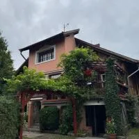 Pokoje pod winogronami，位于Płoty的酒店