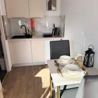 Apartamenty Ryterskie，位于鲁特罗的酒店