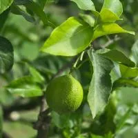 Le 2 valli，位于莫尔特拉肖的酒店