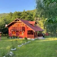Heart of the Forest Penthouse，位于Ghipeş的酒店