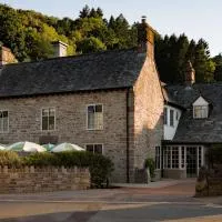 The Royal George，位于廷特恩的酒店