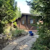 Natur pur, Haus mit großen Garten am Wald，位于Langendorf的酒店