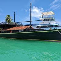 Blue Wave Hotel Maldives- Surf-fishing and beach -Free domestic transport when booked fullboard for a week，位于科卢马杜卢Dhaalu Airport - DDD附近的酒店