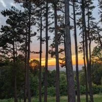 Cabin in the Woods at J and J's，位于Jasper的酒店