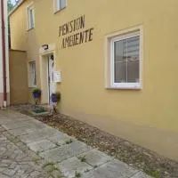 Pension Ambiente，位于Mühlberg的酒店