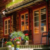 Rondane Sollia Friluftsliv Øvre Nordli，位于Sollia的酒店