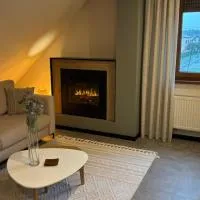 Apartament Nad Rzeczką，位于Godów的酒店