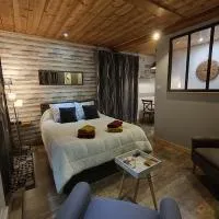 Studio de L'Auberge du château，位于Génos的酒店