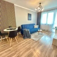 Loft Apartament 1，位于乔左维尔考普尔斯基的酒店
