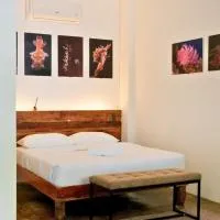 Critter Republic Dive Resort，位于道因的酒店