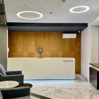d'or Hotel，位于基希讷乌的酒店