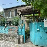 Hotel Artist's House，位于Tʼetʼri Tsqaro的酒店