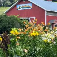 Rainbow Ridge Farms，位于奥那拉斯加的酒店