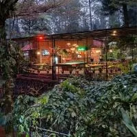 The Pinewood Lodge and Organic Farm，位于Paragajen的酒店