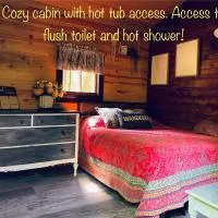 Angies Country Cabins Off Grid Cabins with shared hot tub access Open year round Shared Bathroom access which is not in cabin and hot breakfast add on for extra fee available on weekends only，位于Cassadaga的酒店