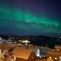 Hjem i Senja，位于Senja的酒店