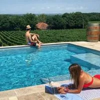 domaine de codeval，位于Fronton的酒店