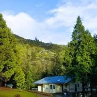 Starlink Mariposa Yosemite mountain retreat，位于马里波萨的酒店