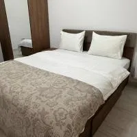 Julia Militari Studio,位于Roşu的酒店