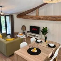 Le St Exupéry Charmant et Spacieux Parking gratuit，位于Fronton的酒店