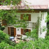 Ferienwohnung Thalhauser,位于蒂特莫宁的酒店