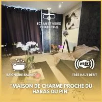 La parenthèse Normande- Balnéo - Vidéo projecteur，位于Almenêches的酒店