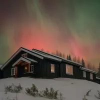 Newly renovated cabin in Nesfjellet, Nesbyen,位于内斯比恩的酒店