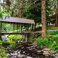 The Mountain Brook Inn，位于Bovina Center的酒店