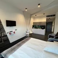 Hotel Orion Nowy Sącz Chełmiec，位于Chełmiec的酒店