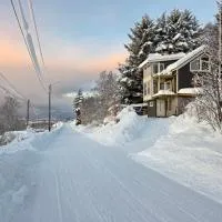 Senja Skaland，位于Melkarhola的酒店