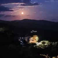 塞里尼酒店，位于维特萨的酒店