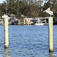 Pelicans Perch，位于曼纳姆的酒店