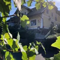 Gasthof Safran，位于Eibiswald的酒店