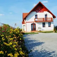 Pensiunea Ana,位于Odoreu的酒店