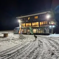 Chalet Vasilitsa，位于格雷韦纳的酒店