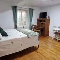 Charmant studio - Centre historique de Crémieu,位于Crémieu的酒店
