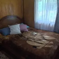 Cabaña Quiroz，位于瓦尔迪维亚的酒店