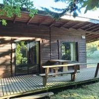 Cabañas Río Iculpe,位于拉戈朗科的酒店