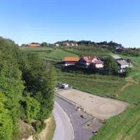 Guesthouse Kaučič，位于Benedikt v Slovenskih Goricah的酒店