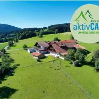 Hotel Hirschenstein,位于阿赫斯拉赫的酒店