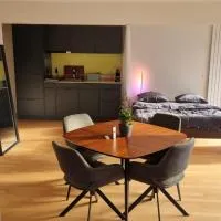 Studio Stadtpark - central, calm, classy, chic，位于奥尔滕的酒店