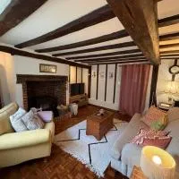 Pretty Cottage in Harleston, Norfolk, dog friendly，位于哈勒斯登的酒店