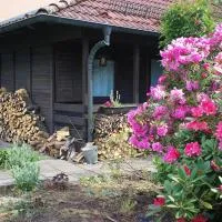 Ferienhaus Winkelhäuschen ab 3 Nächte max 4 Pers，位于赫斯巴赫的酒店
